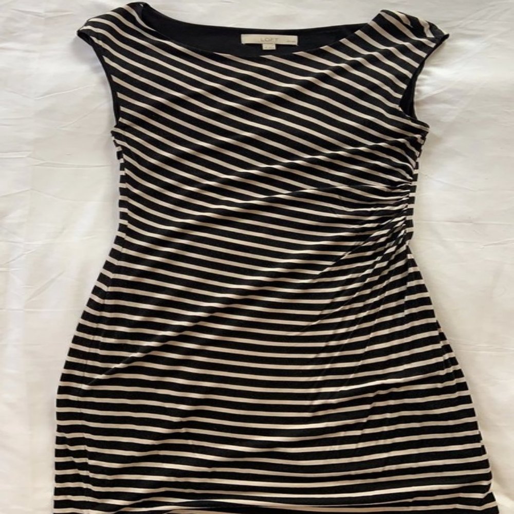 Loft medium petite dress